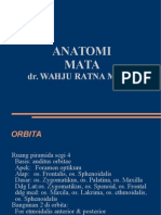 Anatomi mata