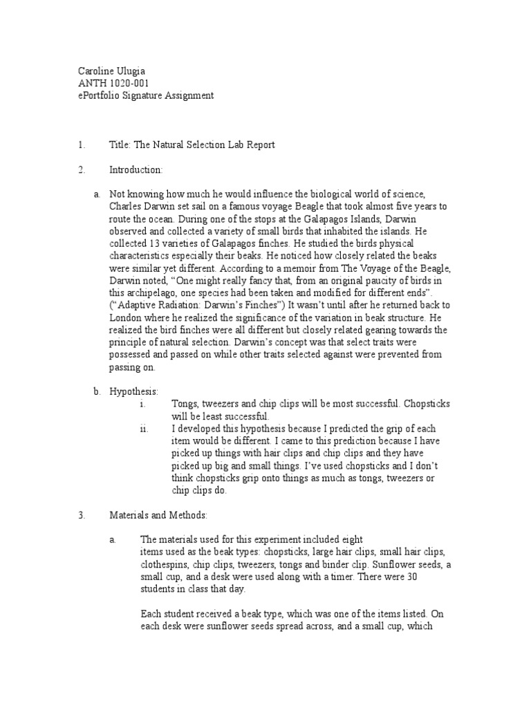 Natural Selection Lab Report Analysis | PDF | Natural Selection | Evolution