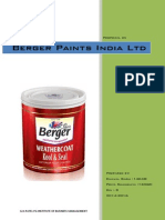 Berger Paints India LTD: Proposal On