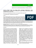 Validation of SSR markers linked to the rust and late leaf spot diseases resistance in diverse peanut genotypes