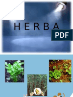 herba1