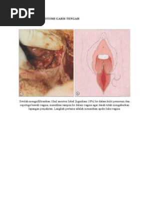 Raqqosa bilan jinsiy aloqa video