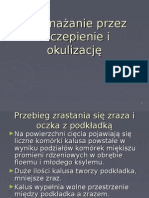 Rozmnażanie Przez Szczepienie I Okulizację