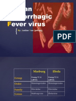 African Hemorrhagic Fever Virus