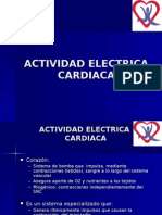 Actividad Electrica Cardiaca 
