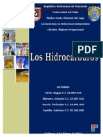 Trabajo Final Los Hidrocarburos