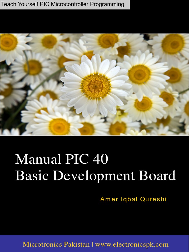 Basic PIC 40 Development Board | Download Free PDF | Pic ...
