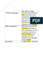 Plana - B Explanation - King and Mandela Essay