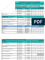 Programa de Seguridad 2013