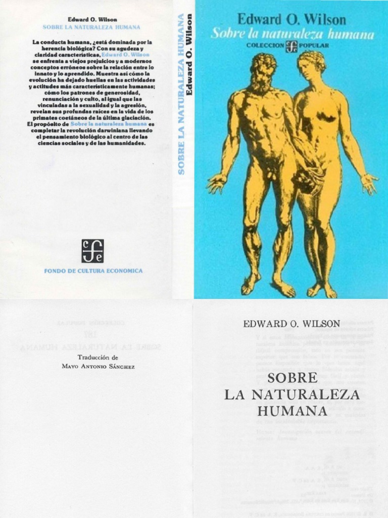 Convert to PDF, image size:768x1024