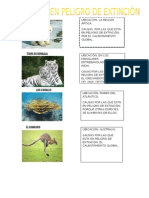 ANIMALES EN PELIGRO.docx