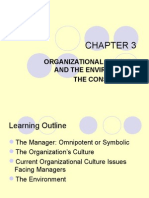 Organizational Culture and The Environment The Constraints