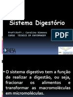 AULA 1 Nutrição - Sistema Digestório