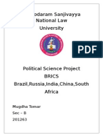 Political Science Project On BRICS