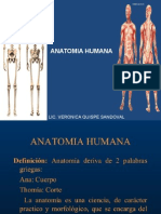 Anatomia Clase 1