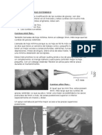 Monografia Indice de Clune