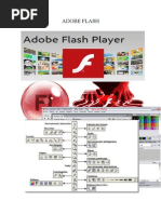 Adobe Flash