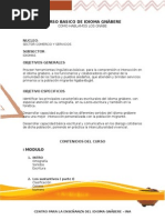 Curso Basico de Idioma Gnobe