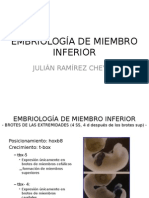 EMBRIOLOGÍA MIEMBRO INFERIOR.pptx