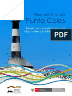 Plan de Sitio de Punta Coles