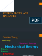 Energy Flows and Balances