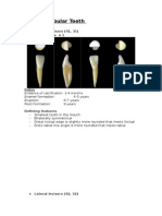 The Mandibular Teeth