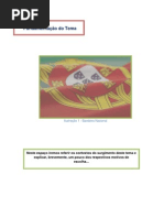 Fundamentação do Tema e Subtema