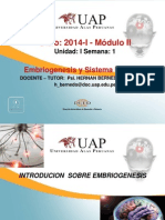 Semana 1 - Embriogenesis y Sistema Nervioso