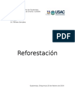 Reforestación y Temas medioambientales en Guatemala
