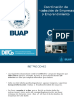 Prentacion Incubados 2015