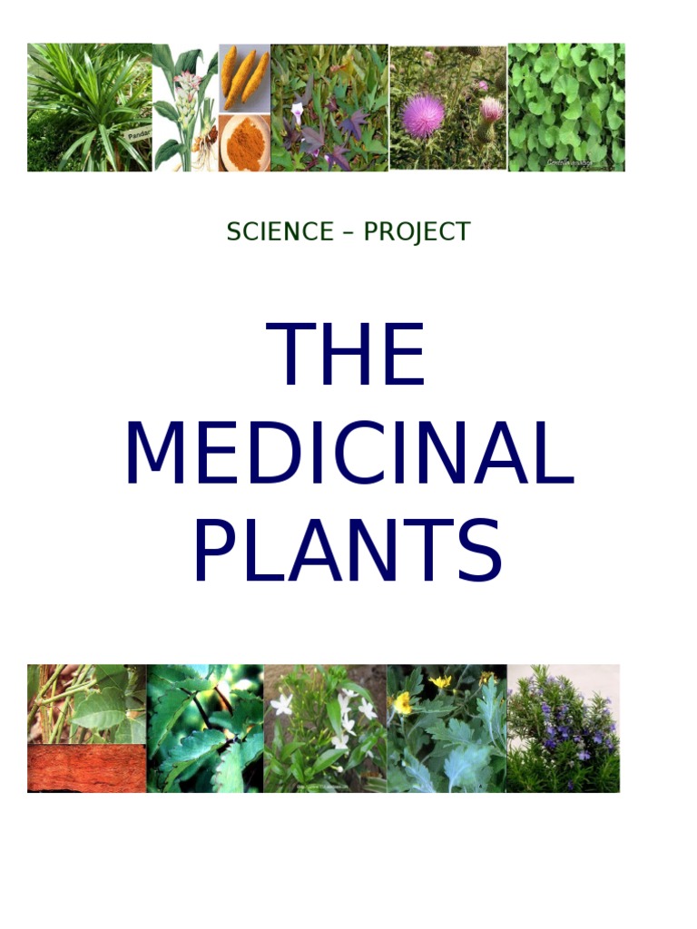 The Medicinal Plants PDF Herbalism Hepatitis