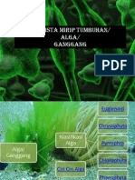 Ganggang PDF