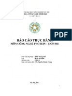 Báo cáo Thực hành môn công nghệ Protein - Enzyme - Luận văn, đồ án, đề tài tốt nghiệp PDF