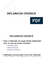 06 Inflamatia Cronica