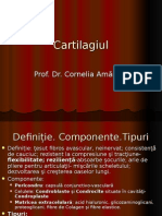 Cartilagiul