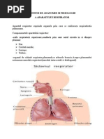 Notiuni de Anatomie Si Fiziologie A Aparatului Respirator