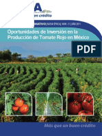 013 - Oportunidades de Inversión en La Producción de Tomate Rojo en México