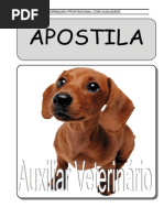 auxiliar_veterinario.pdf