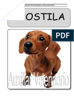 Auxiliar Veterinario PDF