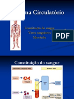 Sistema Circulatório