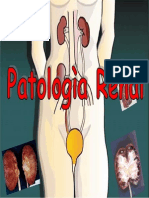 Patologia Renal