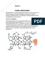 Metabolismul Hemoglobinei