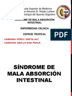 SX Malabsorción