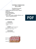 Anatomia y Fisiologia de La Piel