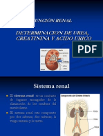 Urea Ac. Urico y Creatinina