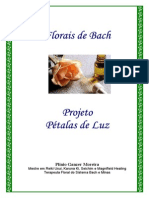 Curso Florais de Bach