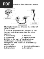 Download Summative Test 21 Nervous System for Notebook by Jovin Ke SN255057121 doc pdf