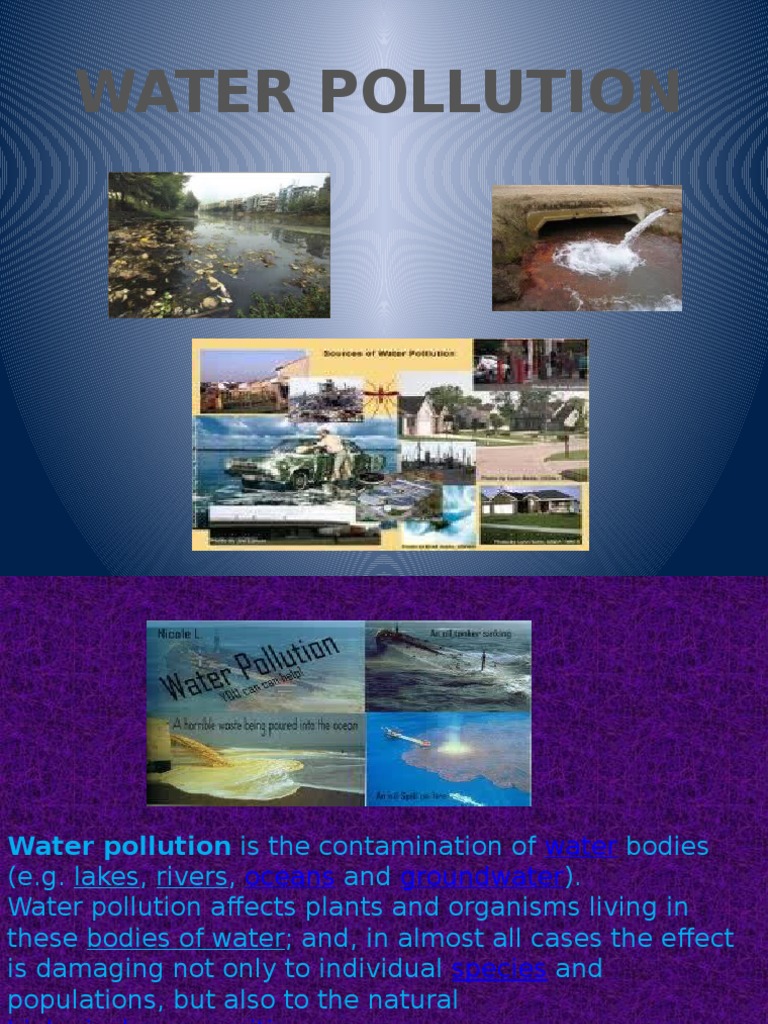 Causes and Effects of Water Pollution | PDF | Water Pollution | Environment