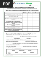 Diffusion Osmosis and Active Transport Worksheet 1yseudb