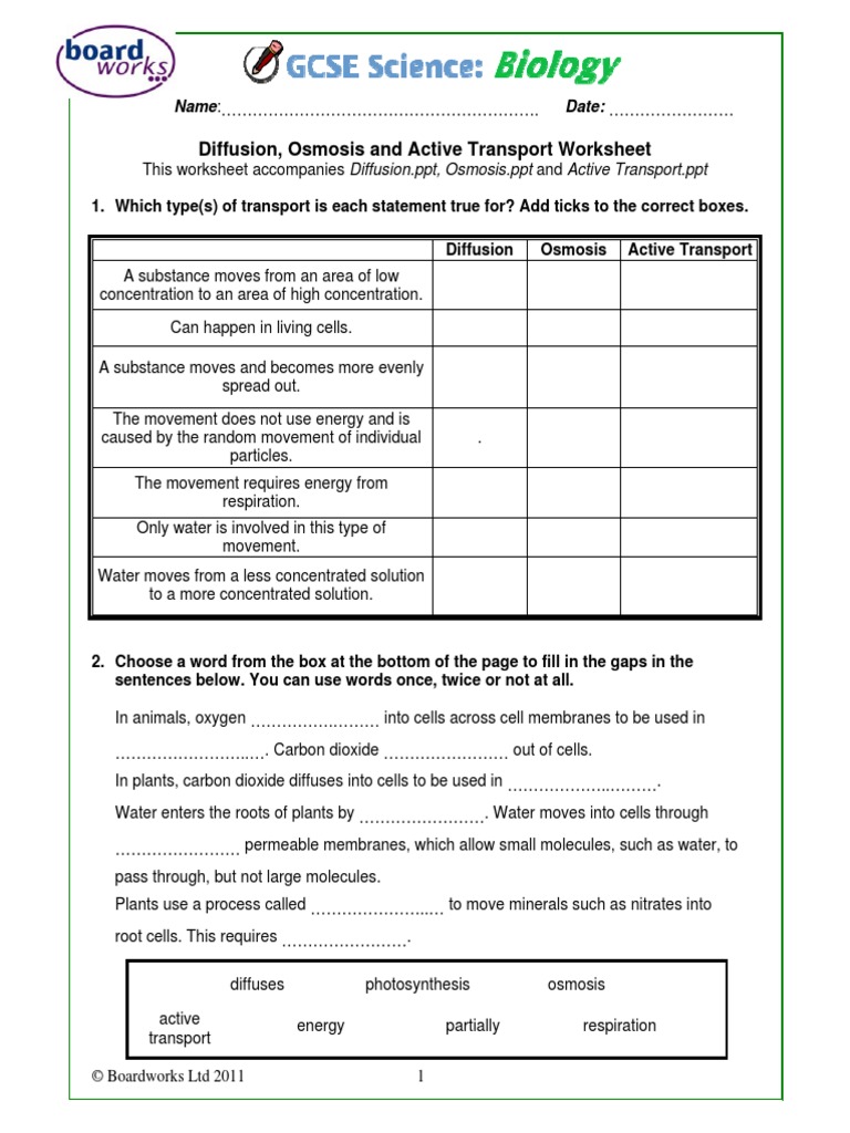 worksheet Osmosis Diffusion Worksheet diffusion osmosis and active transport worksheet 1yseudb diffusion